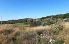 Teren plat, intravilan, zona rezidentiala in Corunca. Ideal pentru investitor - 2