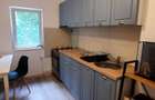 Apartament cu 2 camere, Spitalul Judetean, pet friendly! - 6