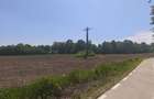 Teren 6300mp, 200ml deschidere la drum, Galanesti, Radauti - 2