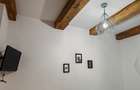 Apartament 4 camere renovat, 3 unitati regim hotelier zona Centrul Istoric - 17