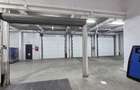 Vanzare depozit/hala/spatiu industrial Otopeni - Centura, Ilfov - 22