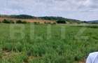 De vanzare teren Fundatura 27500mp - intravilan