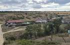 Teren în suprafață de 5ha, Comuna Bucovăț-Palilula - 3