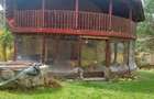 CASĂ DE VACANȚĂ 5 CAMERE,POINANA MĂRULUI, JUD.CARAȘ-SEVERIN - 4