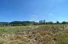 Teren 4100 mp - oportunitate investitie - Bistrita Zona Ranahum - 4