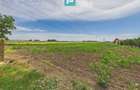 Teren extravilan în suprafață de 10.000 mp, Arad - 5