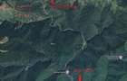Vand padure 5 ha, Satic, Rucar-Bran - 4