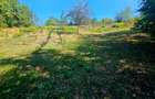 Teren intravilan 2322 mp, Păcuri – vedere superbă spre pădure! - 10