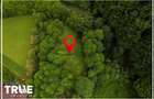 Teren intravilan 2.800 m² în Câmpu Cetății – liniște și natură - 13