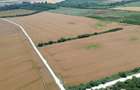 Ciolpani-Ilfov, Teren intravilan-20 ha - 5