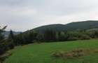 TEREN PREMIUM 5.023 MP ÎN VORONEȚ | BUCOVINA | ZONA MĂNĂSTIR - 15