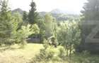 Teren intravilan de top – Colibița | 16.945 mp | Panoramă munți si lac - 7