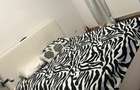 Apartament 2 Camere,Titan,Palladium Residence,bl.2016,et.2/11,centrala,parcare - 6