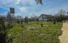 Mitreni-Valea Rosie-Acasa la Tara -4 camere-178 mp-LOT  1000 mp+Casa secundara - 31