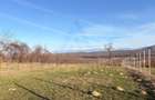 Teren 809 mp intravilan zonă în plină dezvoltare în Tropinii Noi - 8