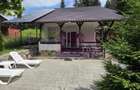 Vila din padure in Valea Doftanei - 37