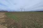 Teren centura Brasov pretabil investitie 5 euro/mp - 3
