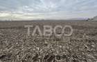 Teren intravilan 5800 mp cu potential de investitie - 2