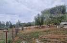 Teren intravilan, 6850 mp, Simnicul de sus