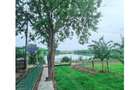 Colt de rai refugiul tău verde în inima naturii - 1
