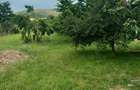 Direct proprietar, vând teren cu casă în Benic, com. Galda de Jos, jud. Alba - 2