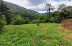 Baile Herculane, De Vanzare Vila Miramonte, 3204 Mp. Teren Intravilan, In Centru - 4