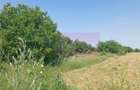 Săbăreni, teren intravilan 665 mp, aproape de DJ 602 - 3