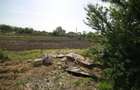 Teren intravil492mp- zona Lazu - 3