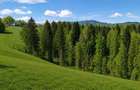 Bran Mountain Retreat – Doar 3 vile exclusiviste în inima Branului - 6