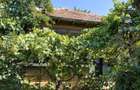Vanzare casa si curte - 2