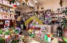 Spatiu comercial de vanzare centru Vladimirescu - 11