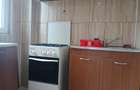 Dristor Ramnicu Valcea, metrou 5 min, 100% mobilata/utilata, libera, Park Lake - 8