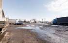 RECO . Proprietate industriala Tileagd . - 25