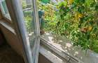 Casa 4 camere libera la vanzare RASNOV - zona Florilor - 10