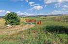 Teren intravilan construibil de 5.900 mp, zonă industrială, Șosea - 6