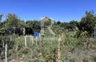 Casă cu 4 camere de vânzare | Parcelă de 700 mp | Sântandrei | Bihor - 28