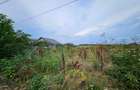 Teren intravilan Snagov / Tancabesti / 6.296 mp / comision 0% - 4