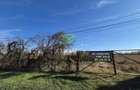 Teren de vanzare -  Bolintin Vale 10 ha - 7