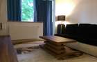 Apartament 2 camere zona Bulevardul Saturn-Gemenii - 3
