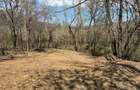 Breaza - str.Plaiului, Coasta Berzei nr.54, teren 1600 mp - 6