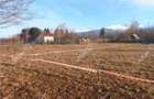 Teren intravilan de vanzare 1863 mp in Avrig zona Valea Avrigului - 5