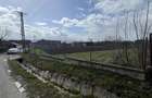 RECO ,teren intravilan in Tinaud,Bihor - 6