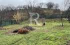 Oportunitate investitie  |  1259 mp  |  Zona Facliei  |  Oradea - 22