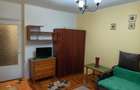 Apartament 1 camera Gara - Arcu - 2