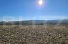 Teren extravilan, 17.000 mp, zona Almasu Mic - 2