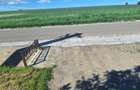 AFACERE LA CHEIE cu locuință + hale, teren 4.007 m² - 8