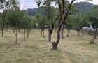 Teren 952 mp, Muereasca, la 15 min de centrul orasului Rm Valcea - 10