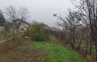 Teren intravilan 12.511 mp | Potoceni – Mărăcineni | Ideal pentru dezvoltare rez - 7