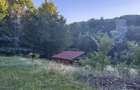 Teren intravilan de vanzare in padure Cisnadioara - 8