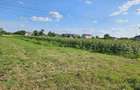 Teren intravilan 1.000 mp | Moara Vlăsiei | Strada Berzei - 1